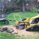 Supporting Healthy Soil Conditions through Proper Stump Removal Practices