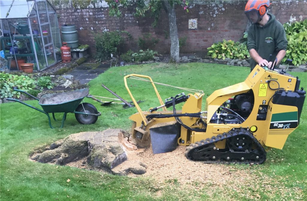 Supporting Healthy Soil Conditions through Proper Stump Removal Practices